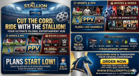 1781255831928_IMG_1107.png