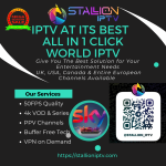 1780244565000_Main_Stallioniptv.com.png